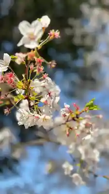 吉備津岡辛木神社(岡山県)