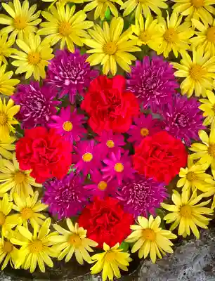 伊達神社(北海道)