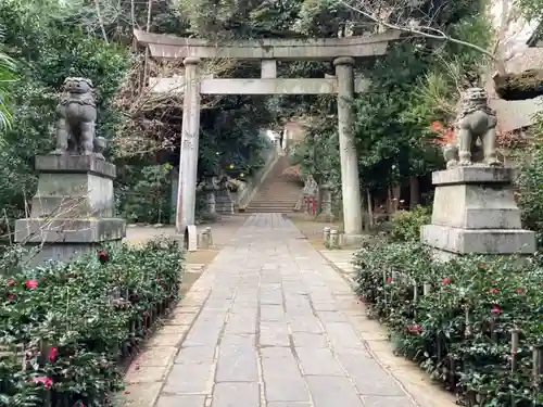 赤坂氷川神社の鳥居