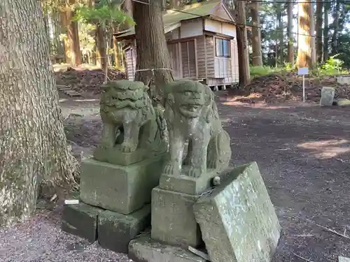 七崎神社の狛犬