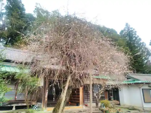 接心庵のその他建物