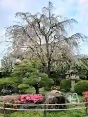 最勝寺の庭園