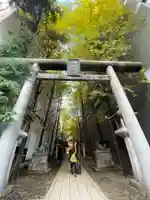 花園神社の鳥居