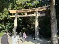 明治神宮(東京都)