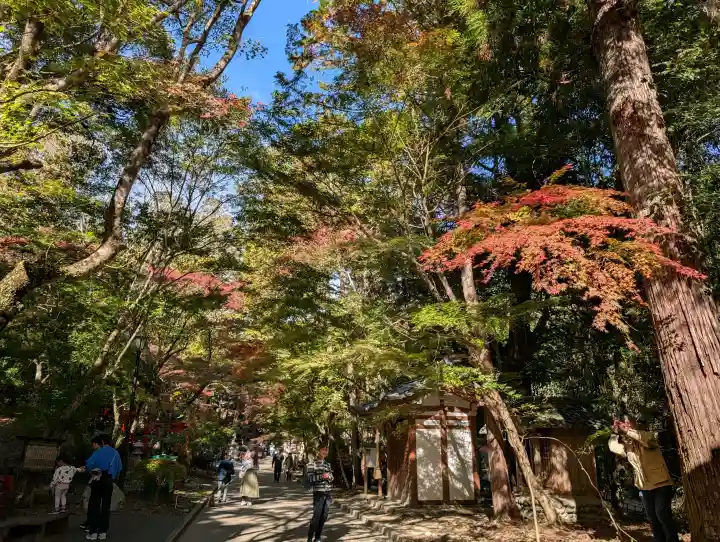 目の霊山 油山寺の{uncategorized: "未分類", other: "その他", undefined: "問題あり", building: "その他建物", grave: "お墓", sacred_gate: "鳥居", guardian: "狛犬", statue: "像", buddha: "仏像", history: "歴史", nature: "自然", garden: "庭園", animal: "動物", pagoda: "塔", temizu: "手水舎", mountain_gate: "山門・神門", sanctuary: "本殿・本堂", subordinate: "末社・摂社", art: "芸術", scenery: "景色", jizo: "地蔵", ema: "絵馬", goshuin: "御朱印", omikuji: "おみくじ", items: "授与品その他", amulet: "お守り", goshuincho: "御朱印帳", eats: "食事", festival: "お祭り", votive_dance: "神楽", shichigosan: "七五三参", wedding: "結婚式", experience: "体験その他", initially: "初詣", around: "周辺", anti_infection: "感染症対策"}