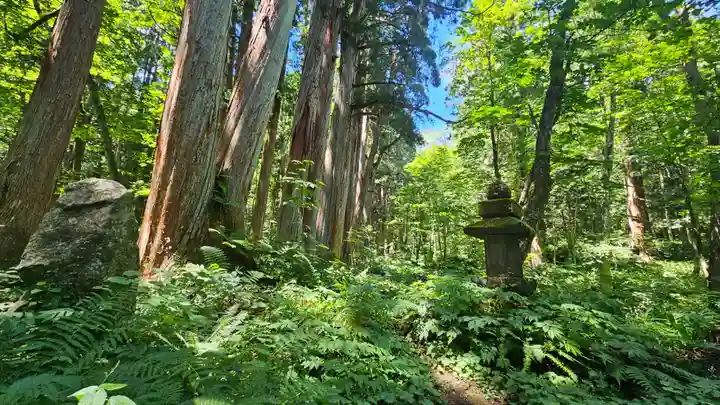 戸隠神社奥社(長野県)