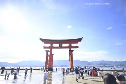厳島神社(広島県)