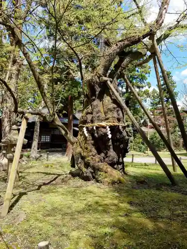 蠶養國神社(福島県)