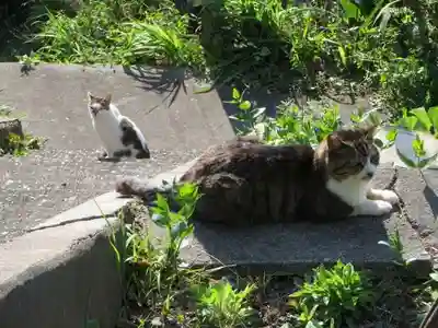 熊野若王子神社(京都府)