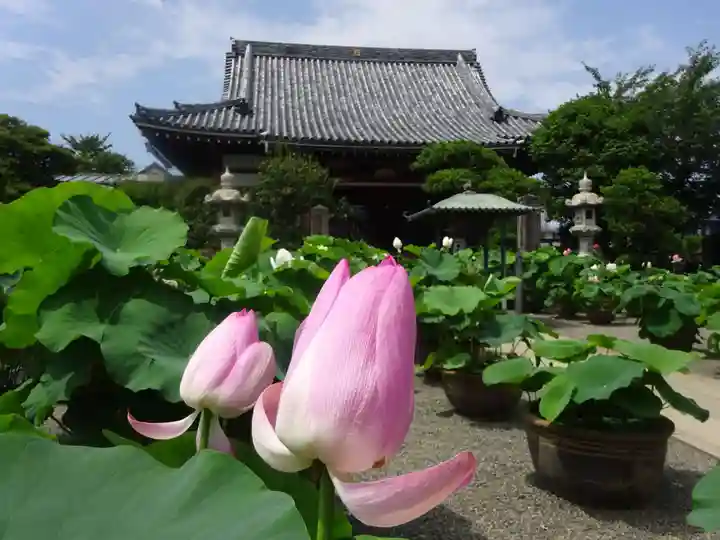要法寺の本殿・本堂