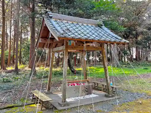 曽許乃御立神社の手水