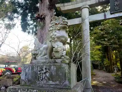 五所駒瀧神社(茨城県)