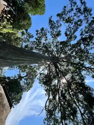 廣八幡宮(和歌山県)