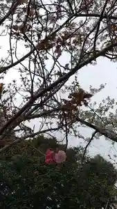 比佐豆知神社(三重県)(2026年04月07日(火) 10時09分00秒投稿)