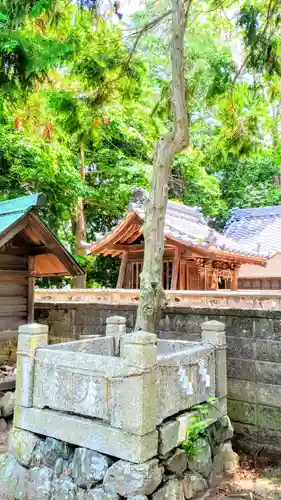 入見神社の自然