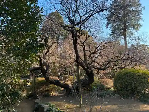 観音寺(千葉県)