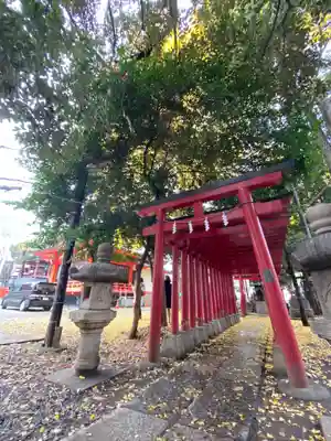 花園神社の鳥居