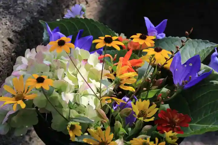 熊野福藏神社の手水舎