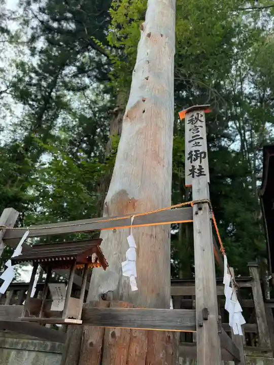 諏訪大社下社秋宮(長野県)