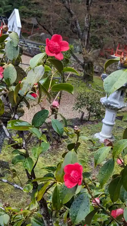 大原野神社(京都府)