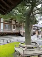 普済寺の本殿・本堂