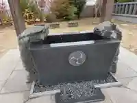 栗橋八坂神社(埼玉県)