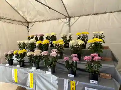 穂高神社本宮(長野県)