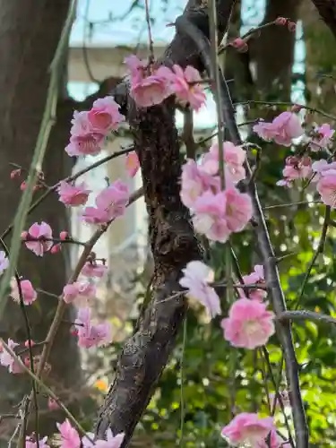 菊田神社(千葉県)