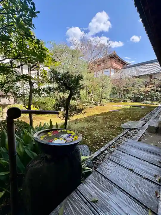 本法寺(京都府)
