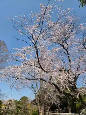 中院(埼玉県)