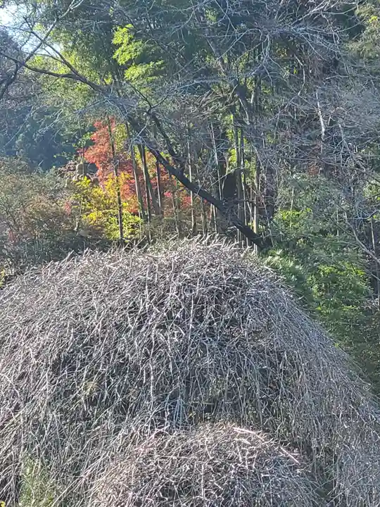 御嶽山神社(栃木県)