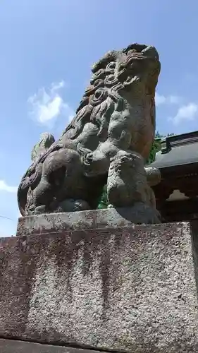 茂原八幡神社の狛犬