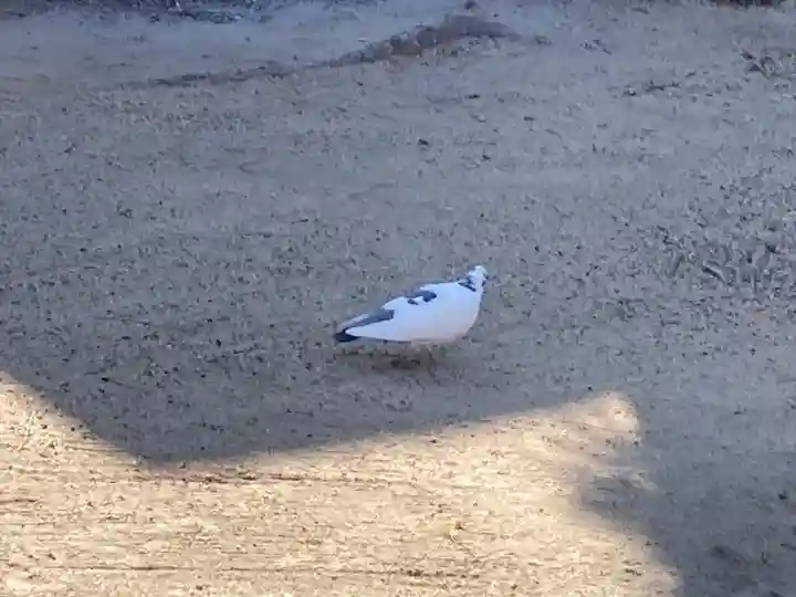 津門神社の自然