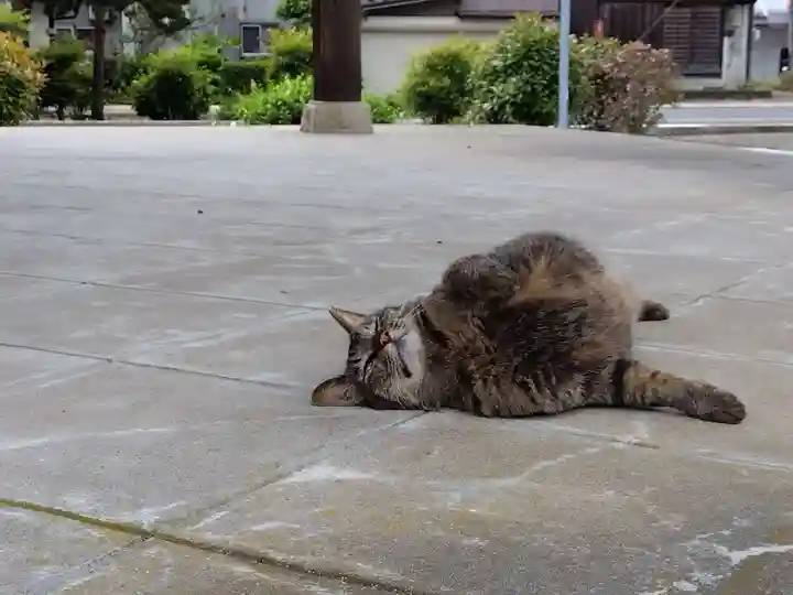 正覚寺(福井県)