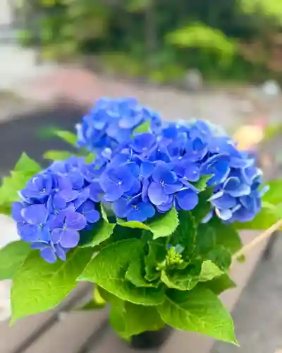 伊達神社(北海道)