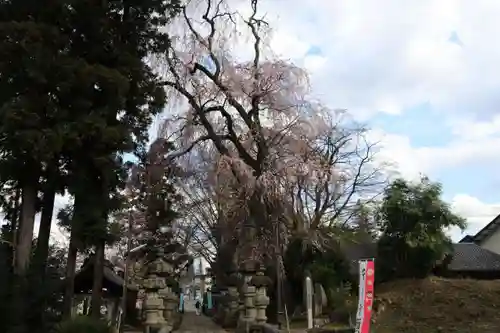 神炊館神社 ⁂奥州須賀川総鎮守⁂の庭園