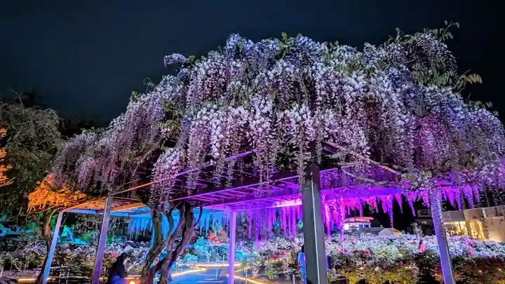 金蛇水神社(宮城県)