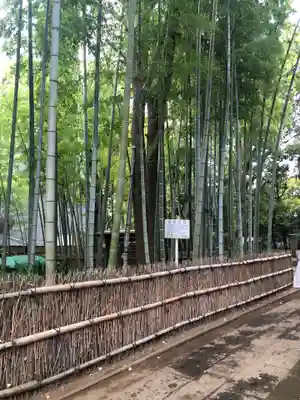 妙福寺の周辺