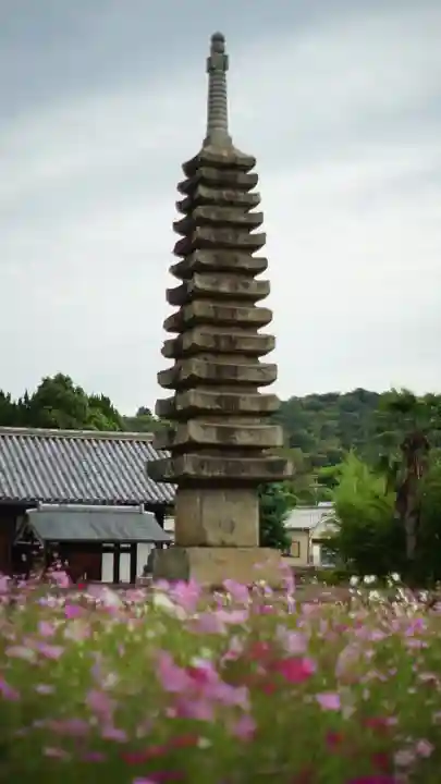 般若寺 ❁コスモス寺❁(奈良県)