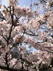 光照寺(福井県)