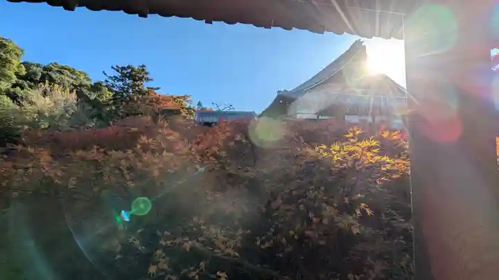 東福禅寺(東福寺)(京都府)