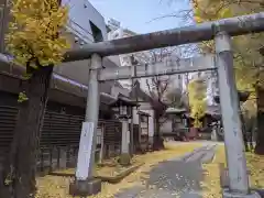 池尻稲荷神社の鳥居