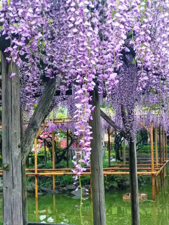 亀戸天神社(東京都)