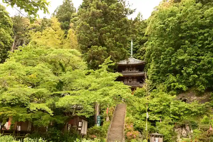 松尾寺の塔