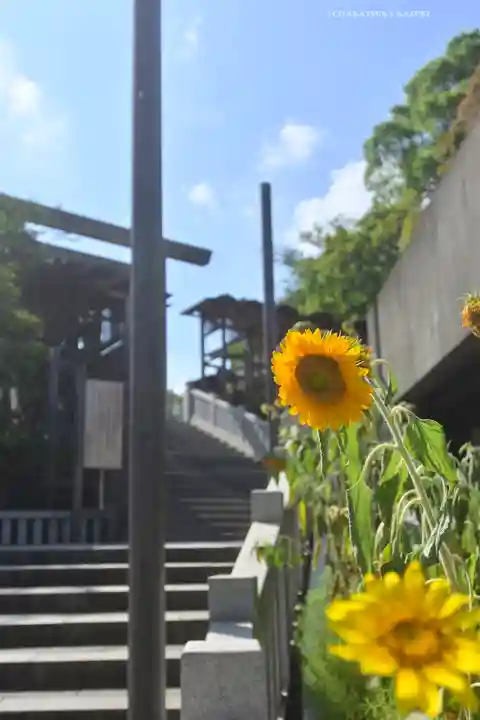 伊勢山皇大神宮(神奈川県)