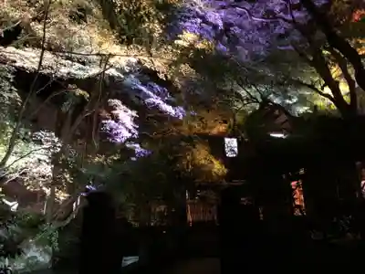 光明寺瑠璃光院(京都府)