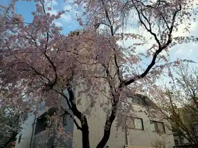 新井薬師（梅照院）(東京都)