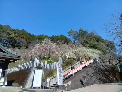 大縣神社(愛知県)