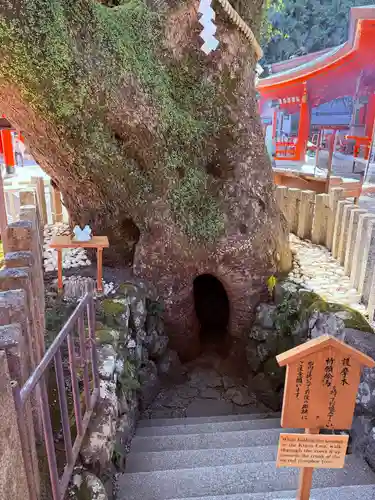 熊野那智大社(和歌山県)