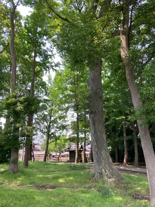 菅原神社の建物その他